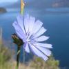 Foto's van de lente - lentefoto's in de fotowedstrijd van Tuinadvies