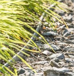 Tuinafboordingen met ecolat ecoplanc ecopic