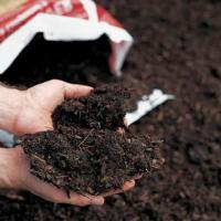Gebruik van bodemverbeteraar en meststoffen, meststoffen in de tuin, welke bodemverbeteraar kiezen, verschil tussen bodemverbeteraar en meststof, verhouding meststof en grond