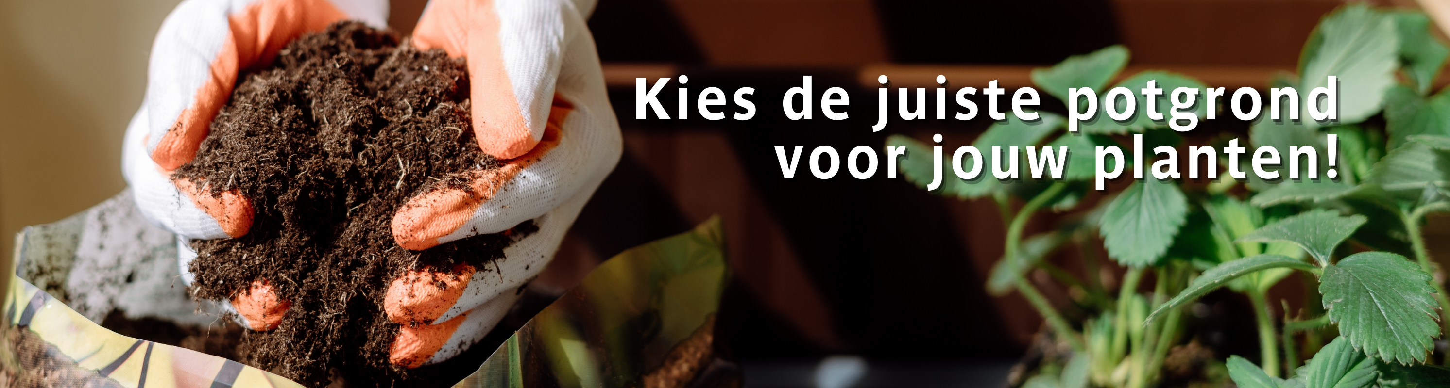 Ontdek ons ruime assortiment potgrond