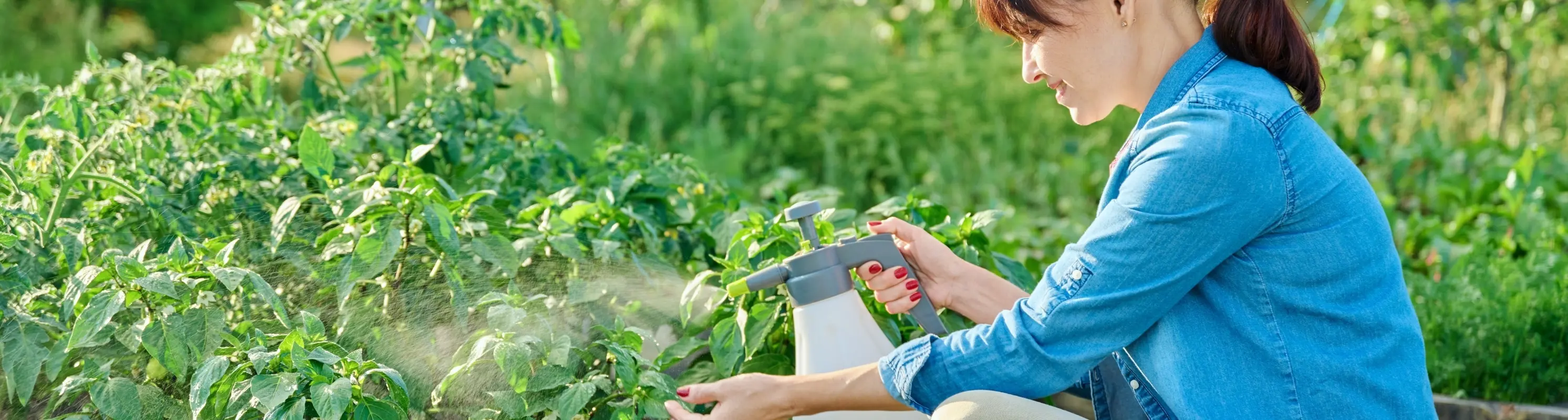 Voorbereid op ziekten en plagen