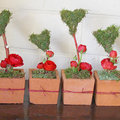 Valentijn eenvoudig bloemstukje in vierkante terracotta