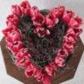Valentijn met rode tulpen: bloemenhart