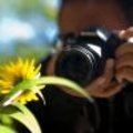 Hoe fotografeer je bloemen