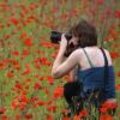 Tips voor het fotograferen bij bloemen deel 2