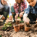 Moestuin in april: zaaien, planten en oogsten!