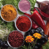 Natuurlijke kleurstoffen in onze voeding, E-nummers