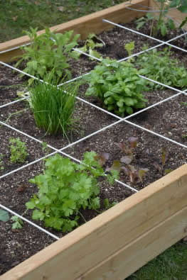 demonstratie repertoire Verkeerd Een vierkantemetertuin bouwpakket of zelf een vierkante meter tuin maken