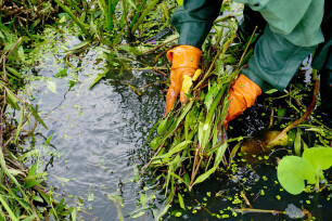 Vijver vrijhouden van bladafval