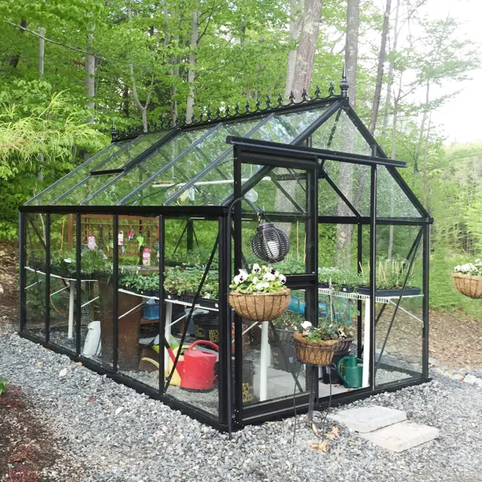 Janssens serre Eos Junior  - 10,8 m² - Janssens serres online kopen - 0