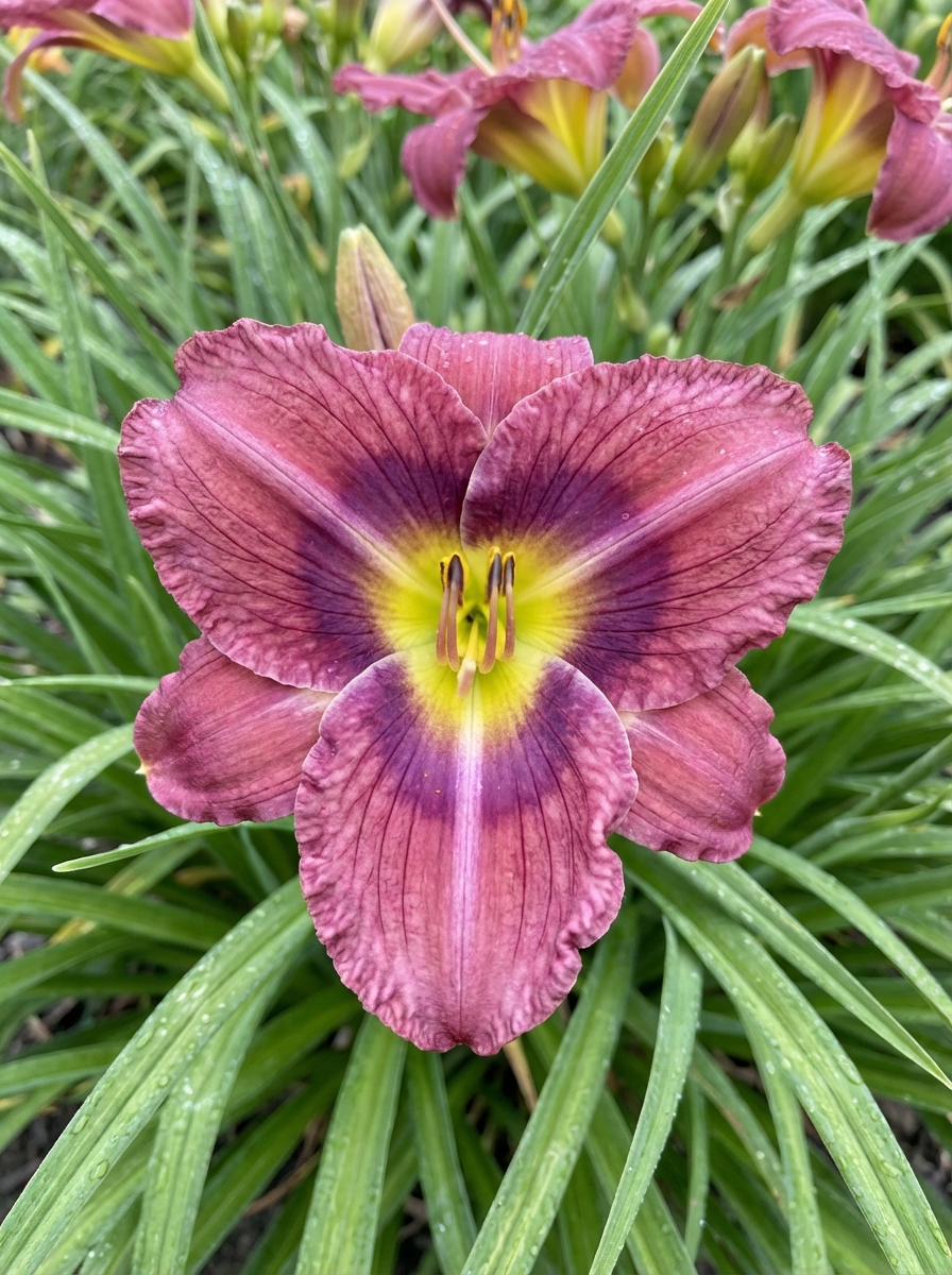 -1