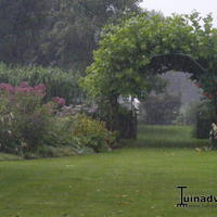 Regen in de tuin