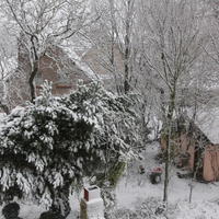 Winter in Loppem