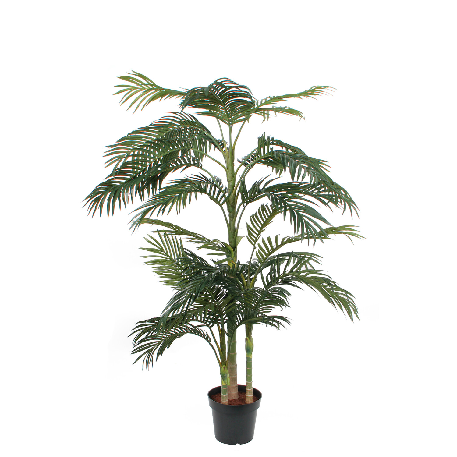 Afbeelding Areca Palm h190 d145 cm groen in plastic pot Mica Decorations Edelman - E-Retail door Tuinadvies.be