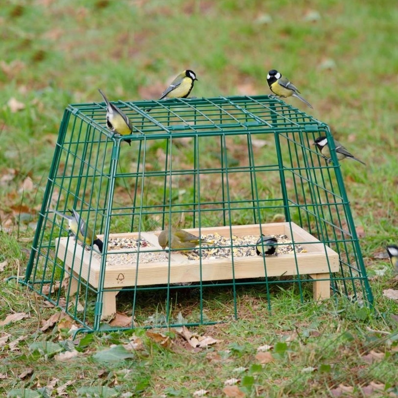 Afbeelding Beschermkooi voor kleine tuinvogels door Tuinadvies.be
