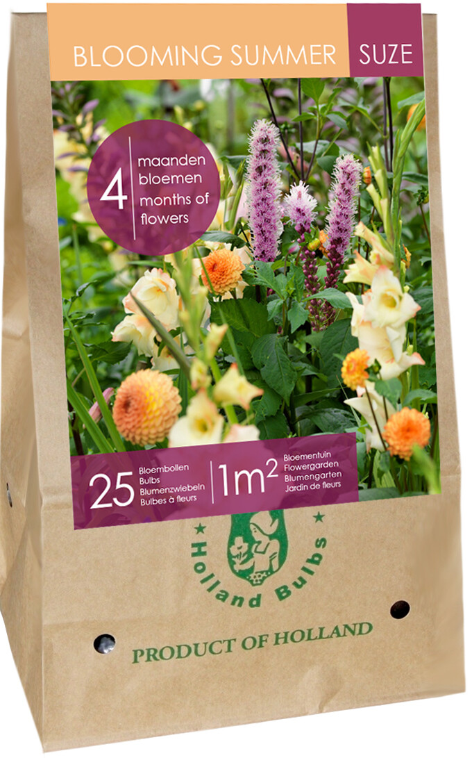 Mix blooming summer Suze