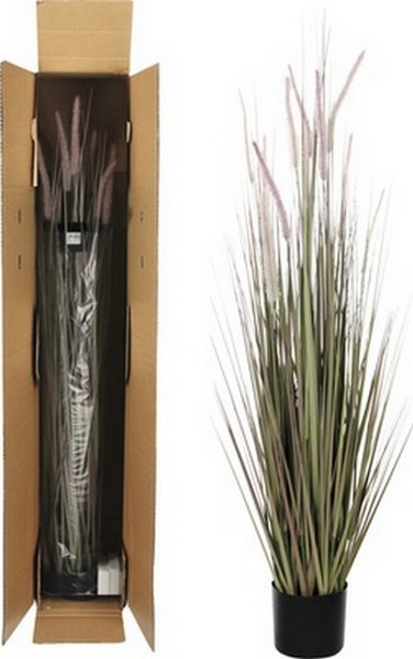 Afbeelding Dogtail gras45 x 150 cm door Tuinadvies.be