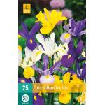 Iris hollandica mix (25 stuks)