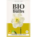 Bio Narcis 'Papillon Blanc' - bio flowerbulbs (5 stuks)