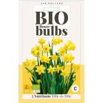 Bio Narcis 'Tête-à-tête' - bio flowerbulbs (5 stuks)