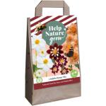 Dalhia Honey mix - Help nature grow