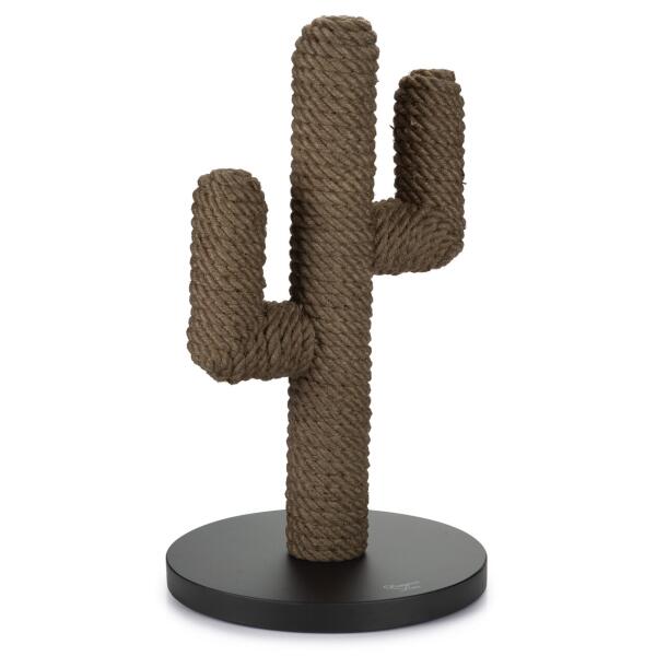 Krabpaal cactus zwart 60 cm