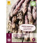 Asparagus Pacific Purple - Paarse asperge (1 stuks)