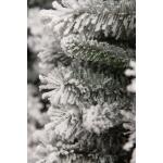 Kunststof kerstboom Chandler slim frosted Black Box - 155 cm