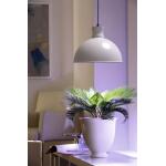 Groeilamp Led Florabooster 500 - 6,5W - wit