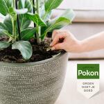 Pokon Bio Kuur Voor Weerbare en Gezonde Planten Capsules (12 stuks)