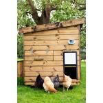 Chickenguard Pro automatische deurwachter + kippenhokdeur