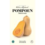 Pompoen Butternut - zaaigoed Wim Lybaert