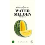 Watermeloen Sunlove - zaaigoed Wim Lybaert