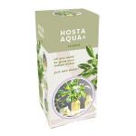 Hosta aqua+ inclusief vaas - striped