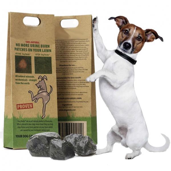 Anti-urineplekken - dog rocks