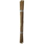 Bamboe stokjes 60 cm