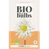Bio dahlia 'My Love' - bio flowerbulbs