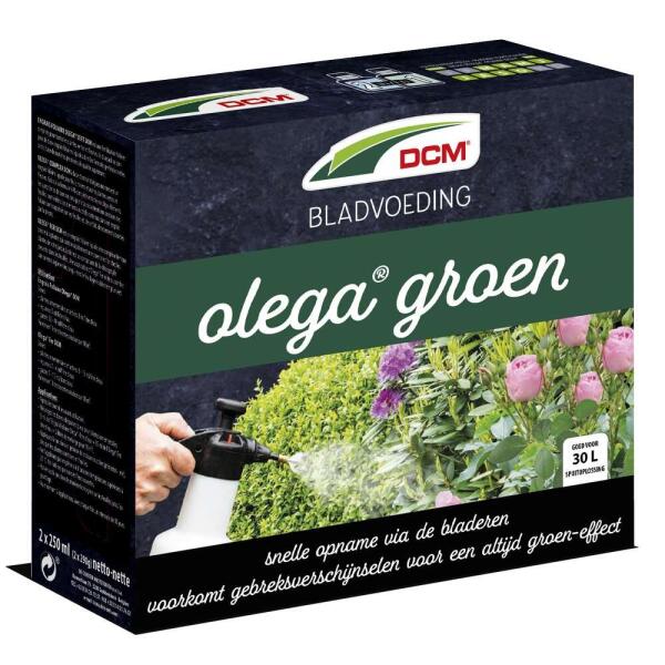  - Bladvoeding Olega groen DCM