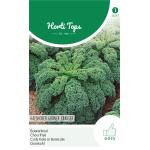 Boerenkool Middelhoge Fijne Krul - Brassica oleracea