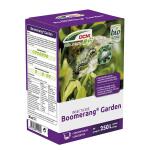 DCM Boomerang Garden tegen buxusrupsen - 50 ml