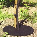 Mulch rubberring 50 cm
