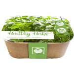 Box Healthy Herb - basilicum