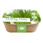 Box Healthy Herb - bieslook