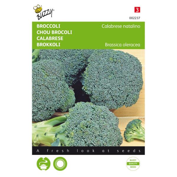 Broccoli Groene Calabria