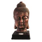 Boeddha hoofd met ledspot op zonne-energie