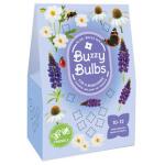 Buzzy Bulbs bloembollen voor bijen - wit/blauw - 1 m²