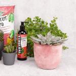 Undergreen Cactus Love - meststof cactussen & co. 250 ml