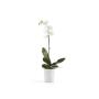 ECOPOTS Morinda orchideeënpot - Pure White Ø 14 cm