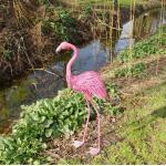 Flamingo in metaal staand