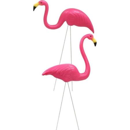 Plunderen Makkelijk te lezen wereld Flamingo set van 2 - Webshop - Tuinadvies